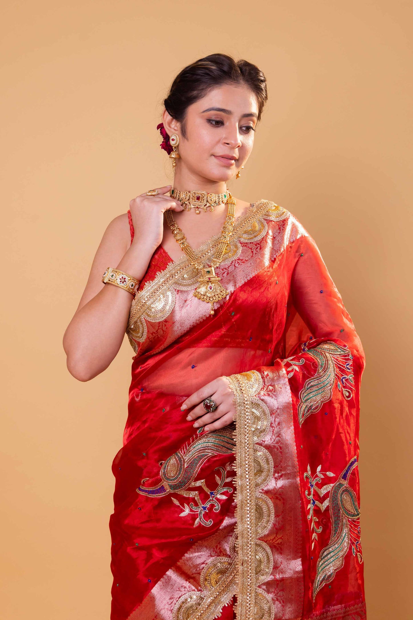 Red Hand Embroidered Tissue Silk Saree With Embellished Border