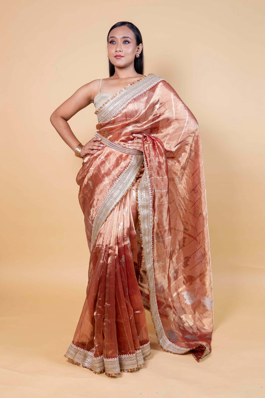 Rust Embroidered Lace Tissue Silk Saree