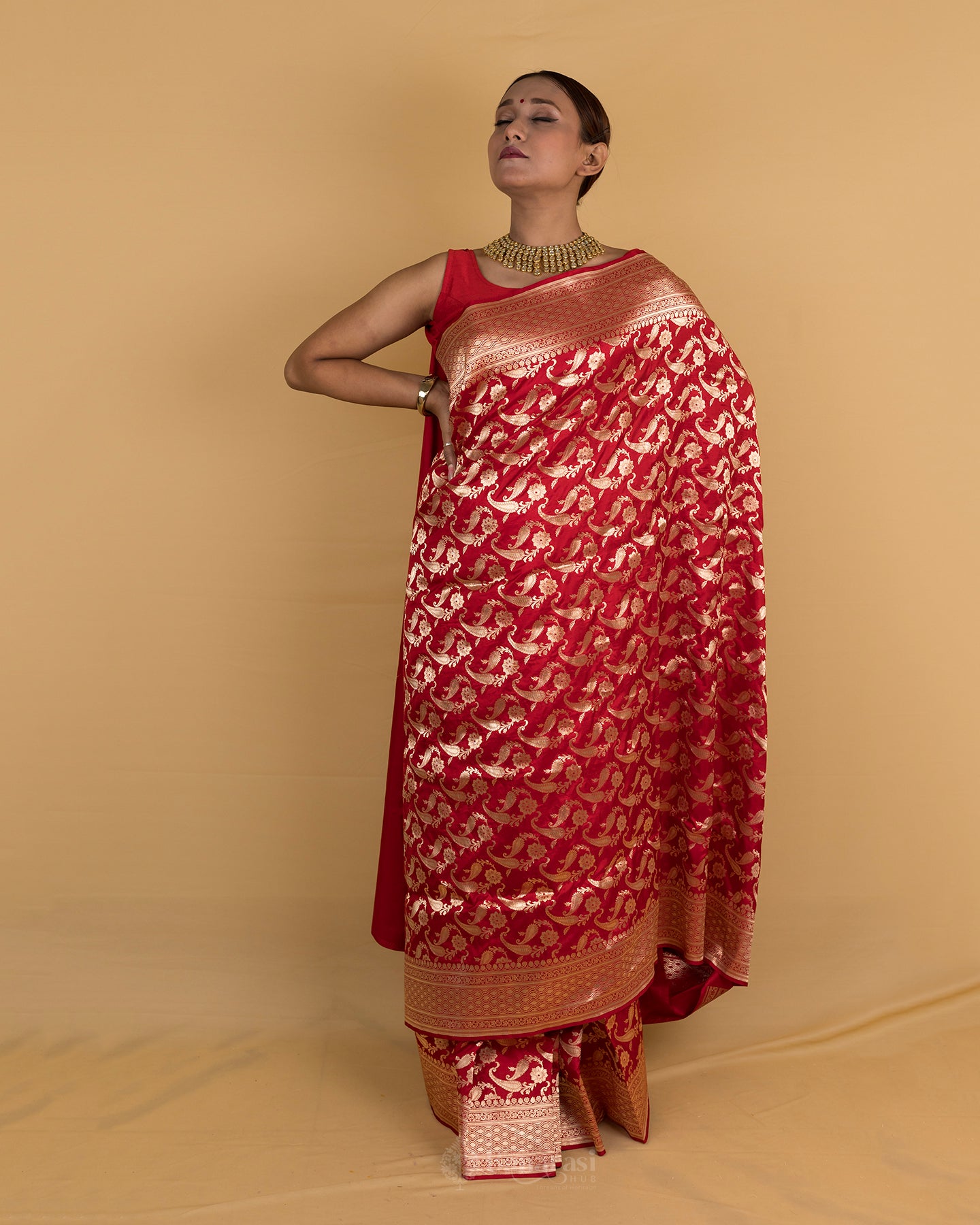 Ethnic Red Katan Banarasi Silk Saree