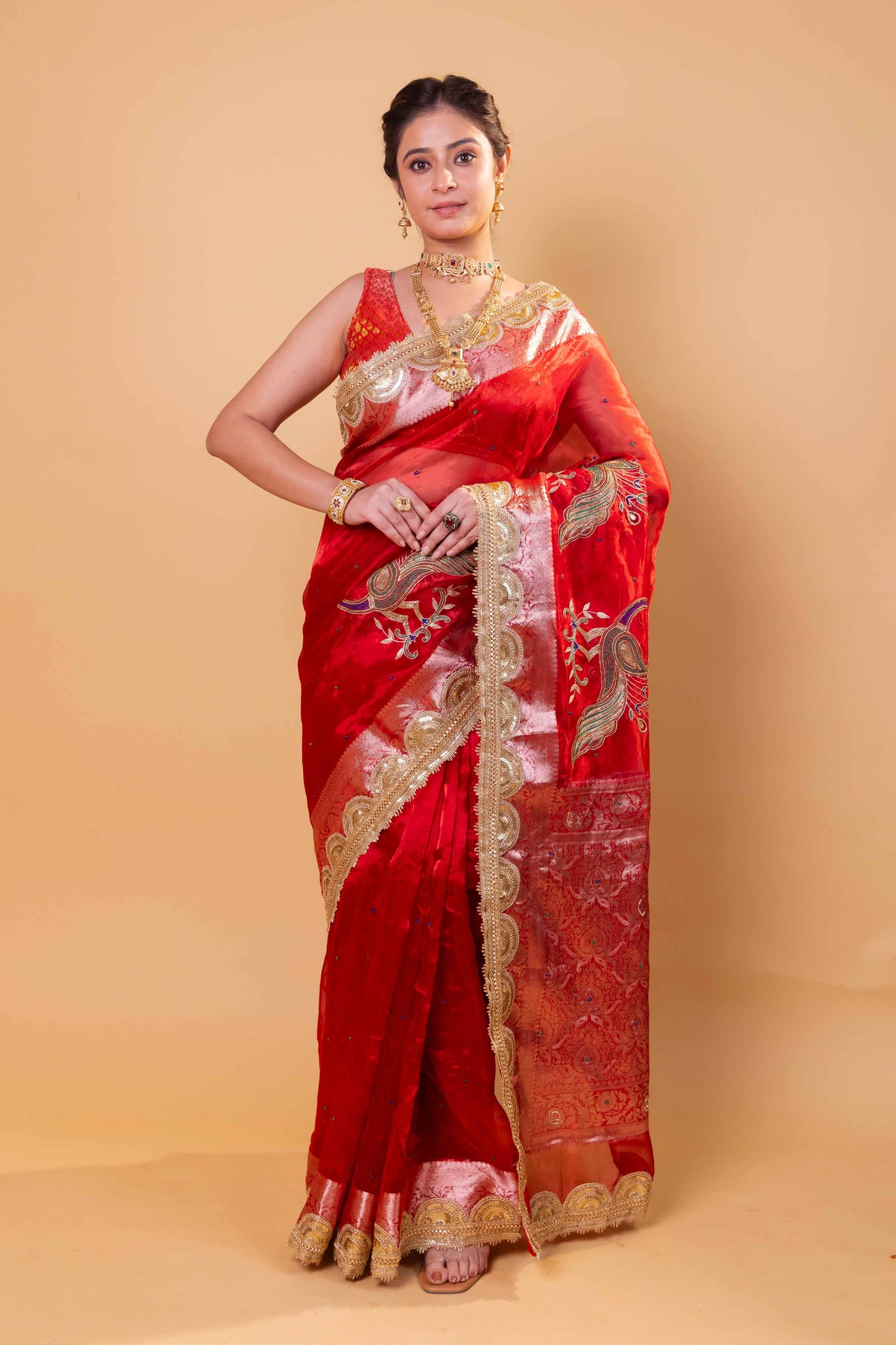 Red Hand Embroidered Tissue Silk Saree With Embellished Border