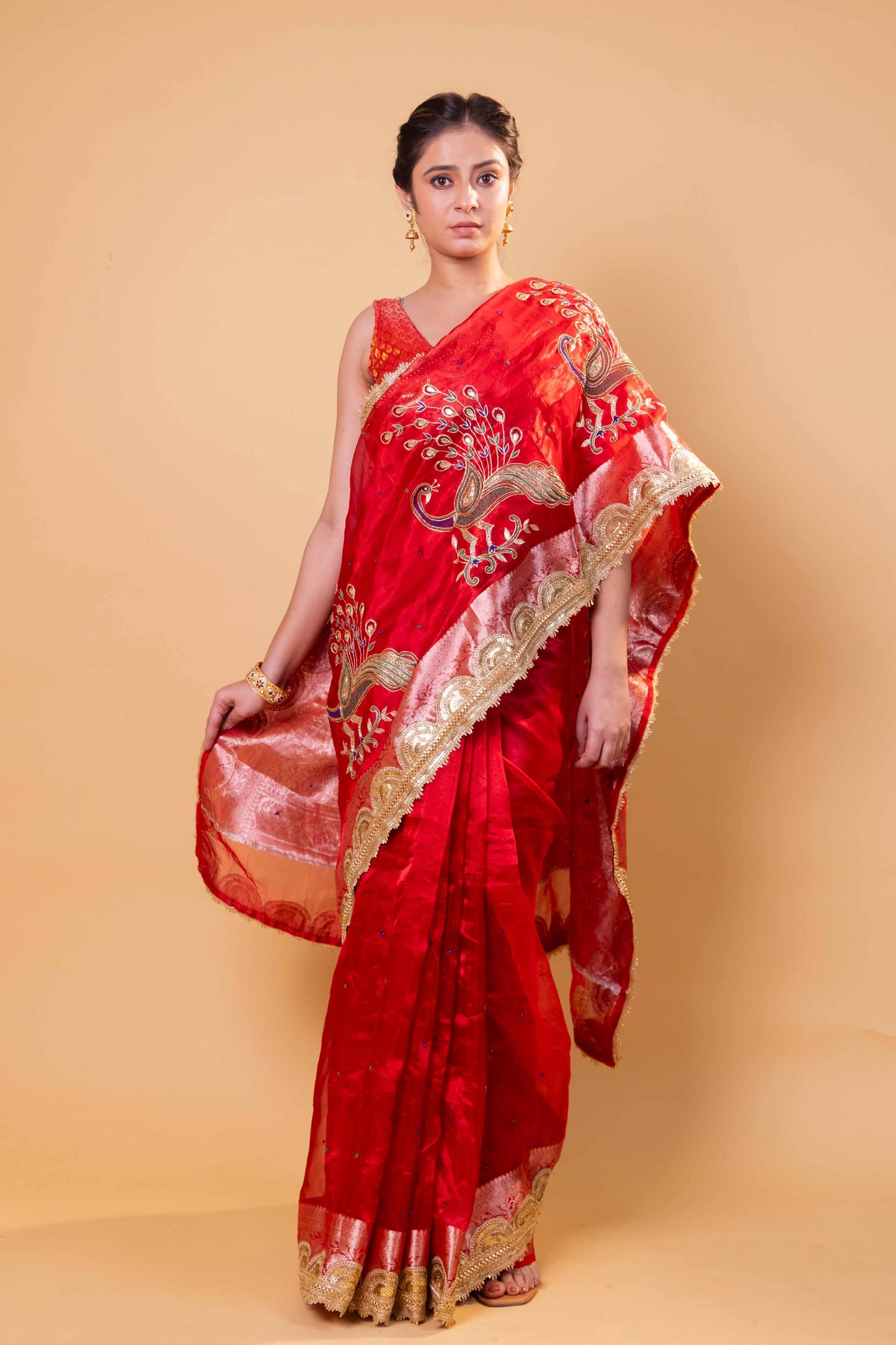 Red Hand Embroidered Tissue Silk Saree With Embellished Border