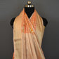 Pastel Peach  Woven Cotton Banarasi Saree