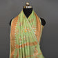 Pista Green Woven Cotton Banarasi Saree