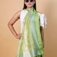 Pista Green Meenakari Chiniya Silk Saree