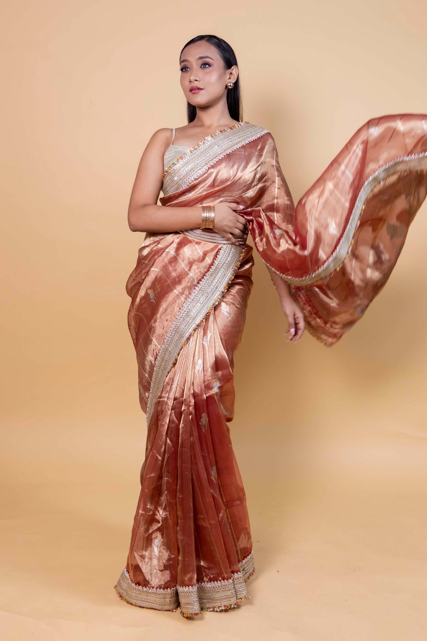 Rust Embroidered Lace Tissue Silk Saree