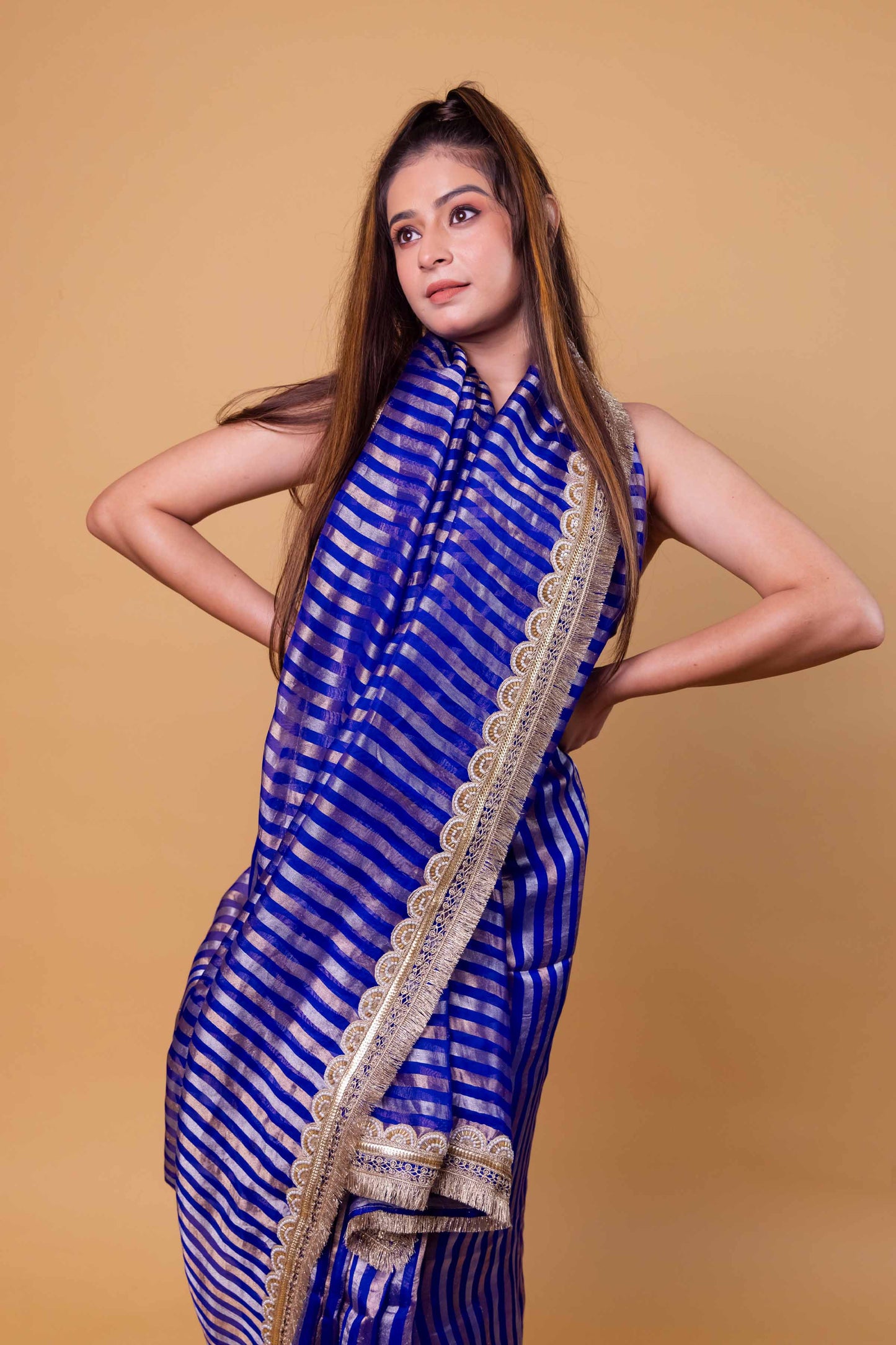 Royal Blue Sona Rupa Stripe Organza Silk Saree With Embellished Border