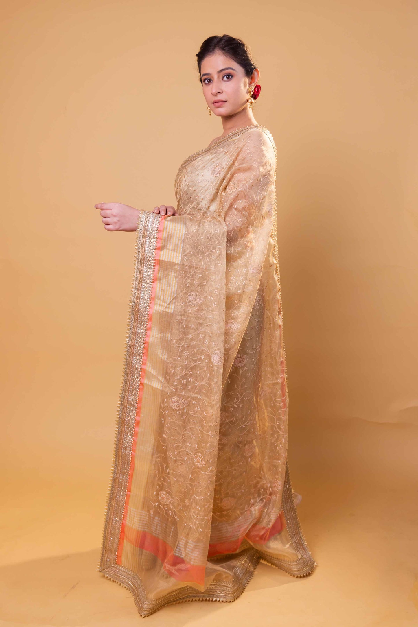 Beige Embroidered Tissue Silk Saree With Embroidery Lace
