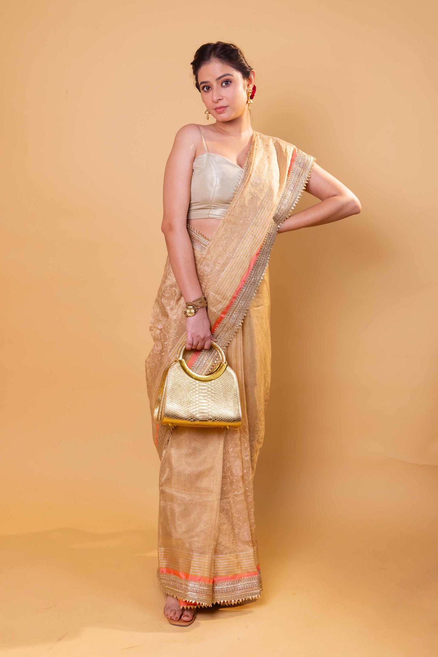 Beige Embroidered Tissue Silk Saree With Embroidery Lace
