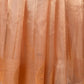Beige Striped Handloom Tissue Silk Saree