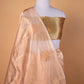 Beige Handloom Tissue Silk Saree