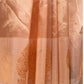 Beige Handloom Tissue Silk Saree