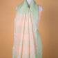 Liril Green Pure Linen Saree