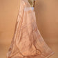 Beige Handloom Tissue Silk Saree