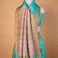 Sea Green Handloom Raw Silk Saree