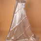 Rekhaji Inspired Silver Tissue Silk Saree